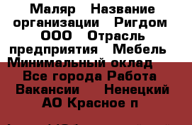 Маляр › Название организации ­ Ригдом, ООО › Отрасль предприятия ­ Мебель › Минимальный оклад ­ 1 - Все города Работа » Вакансии   . Ненецкий АО,Красное п.